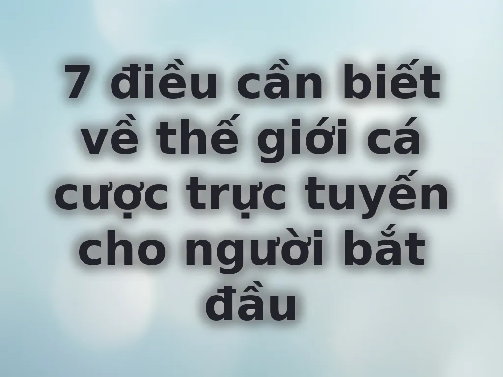 Hướng dẫn cá cược cho người bắt đầu